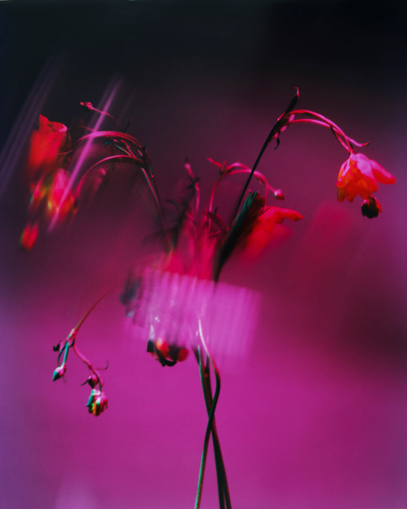 Mono Space - GALLERY HOURS