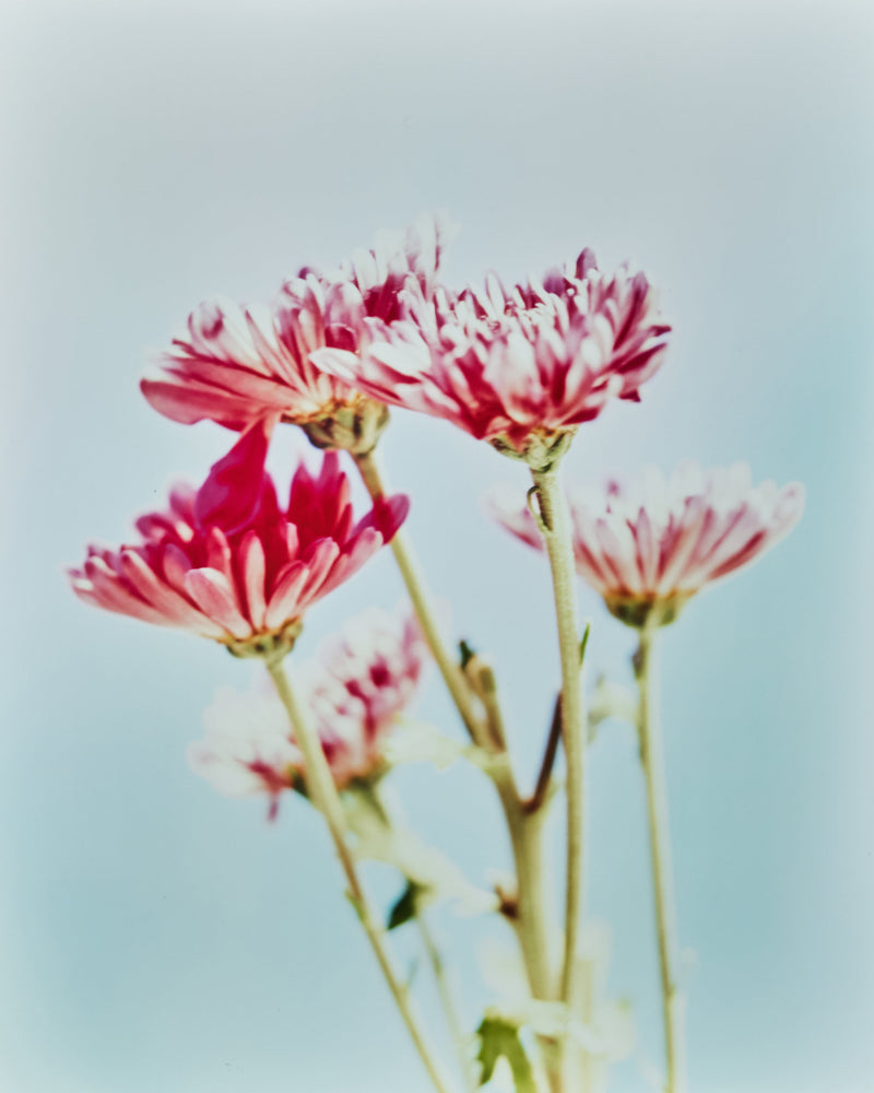 Mono Space - GALLERY HOURS