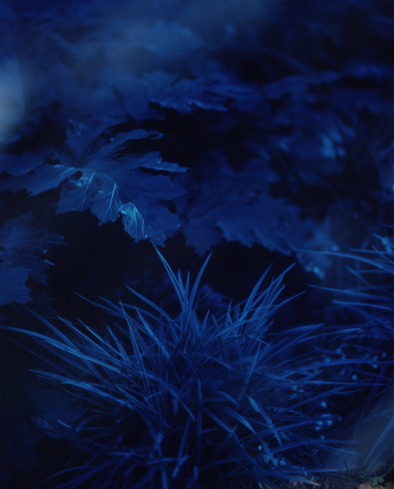 Mono Space - Gallery Hours Curated by Bryson Wallace